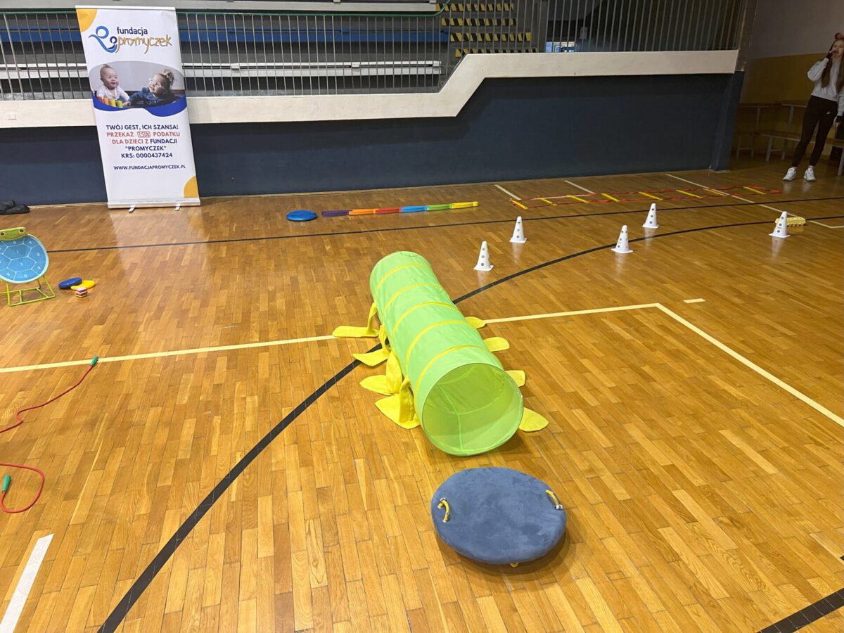 Fundacja promyczek, akcja charytatywna dla Mai Michalskiej