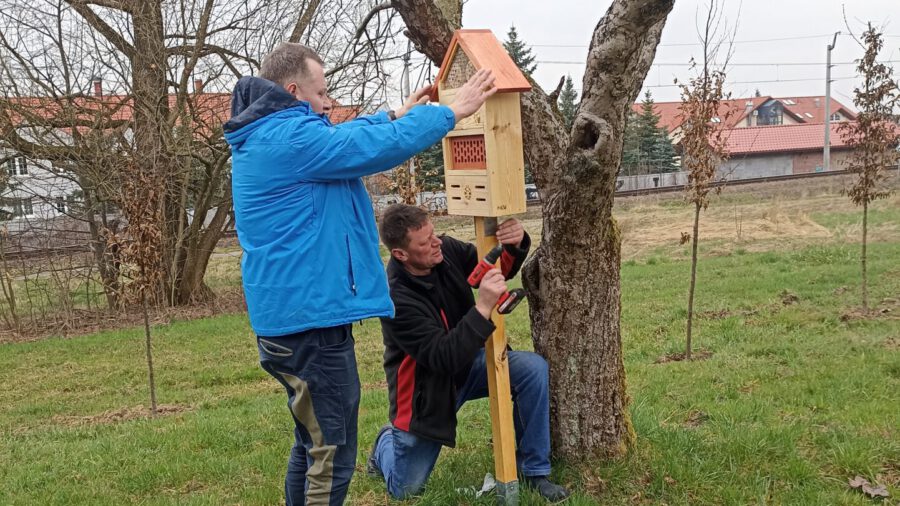 Domki dla owadów pożytecznych