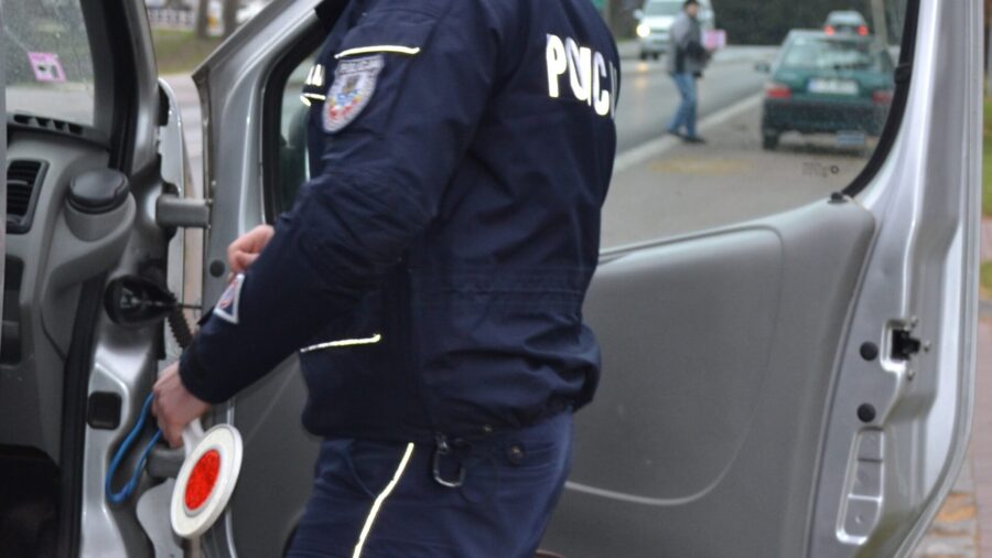 Policjanci zatrzymali kierowcę dostawczaka