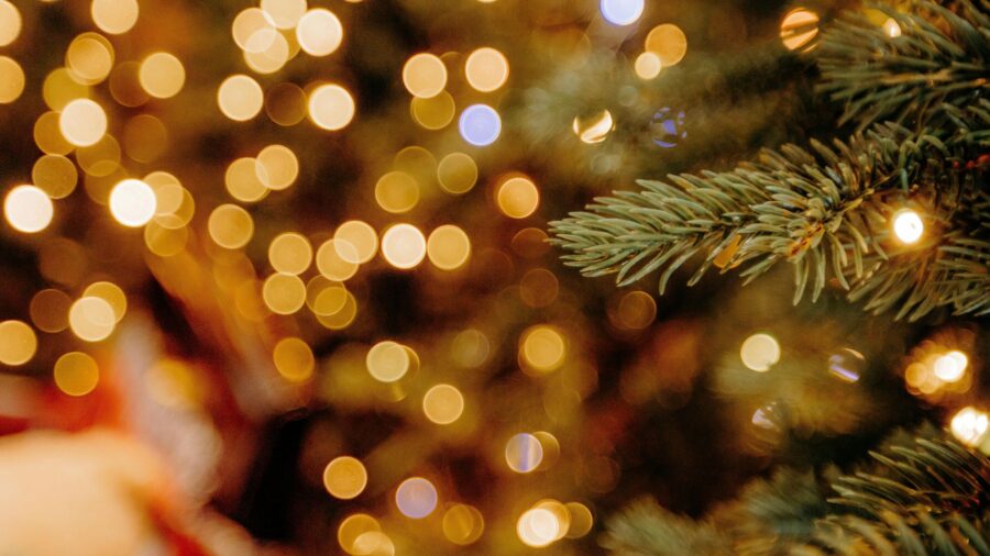 Fot. [źródło: wck.wadowice.pl]